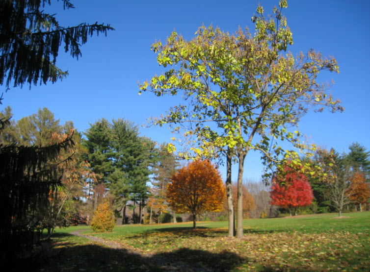 Lasdon Park, Arboretum & Veterans Memorial, United States